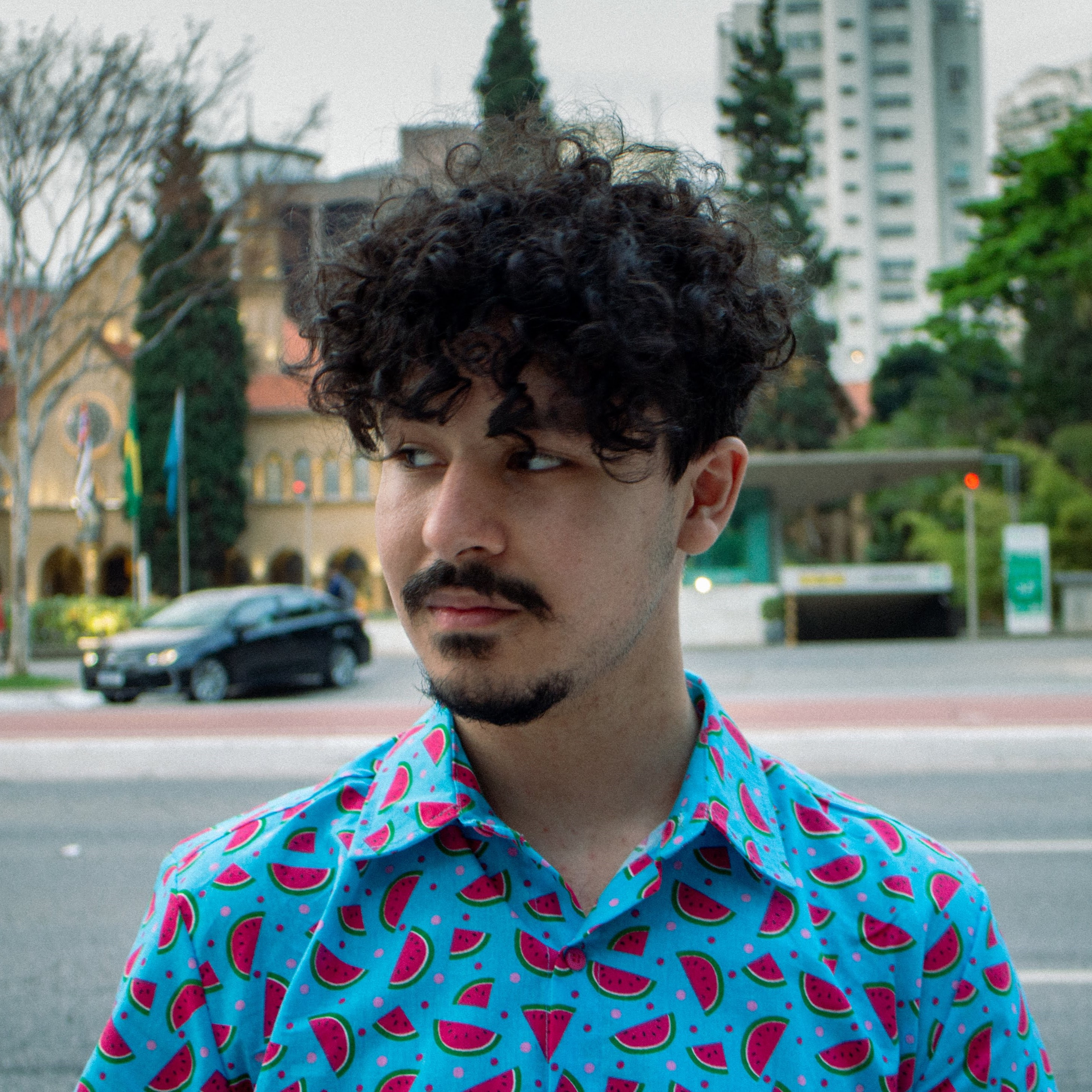 Luiz Henrique Harsche